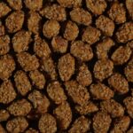 pexels-photo-34533460