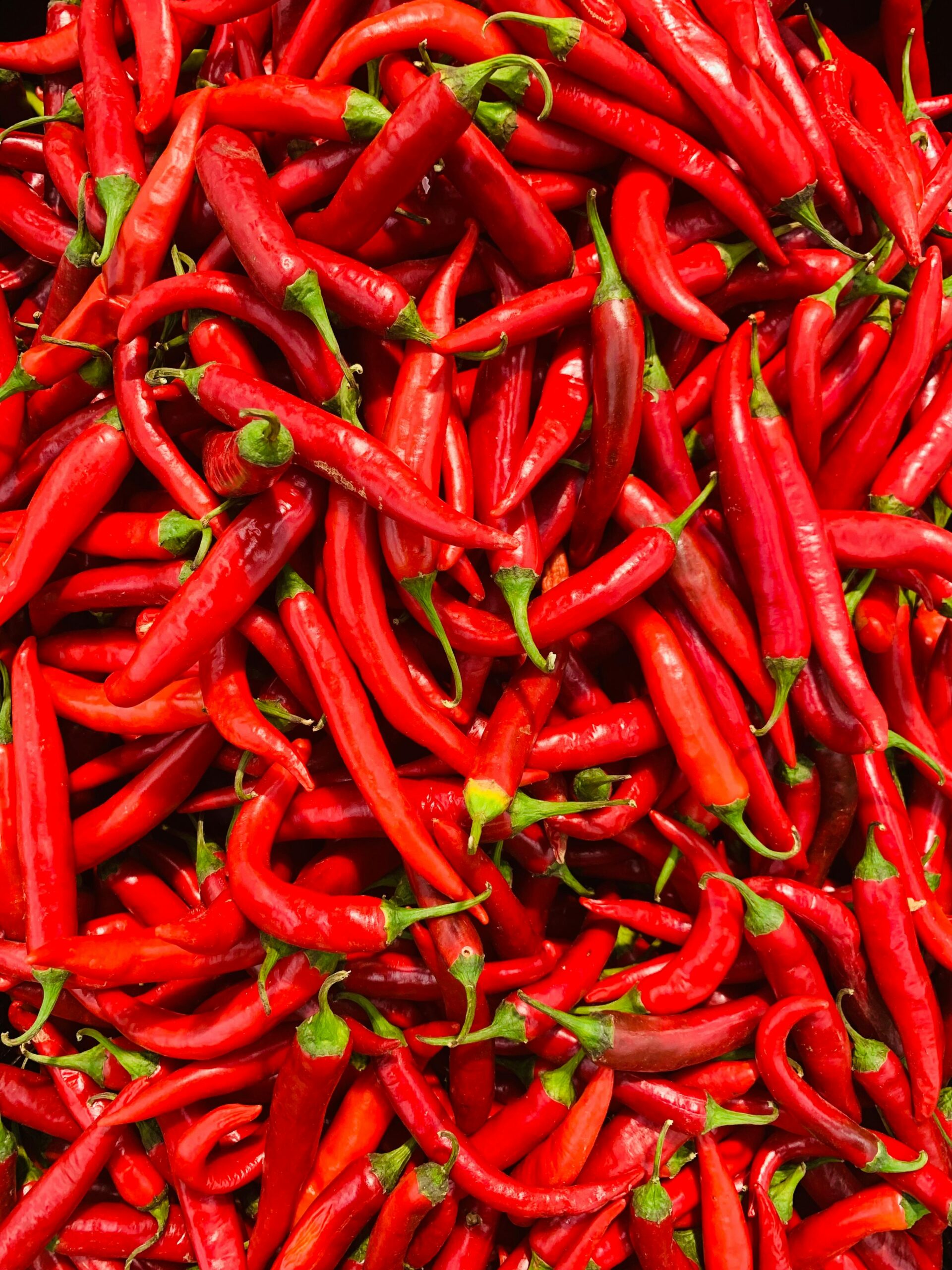 red chilis